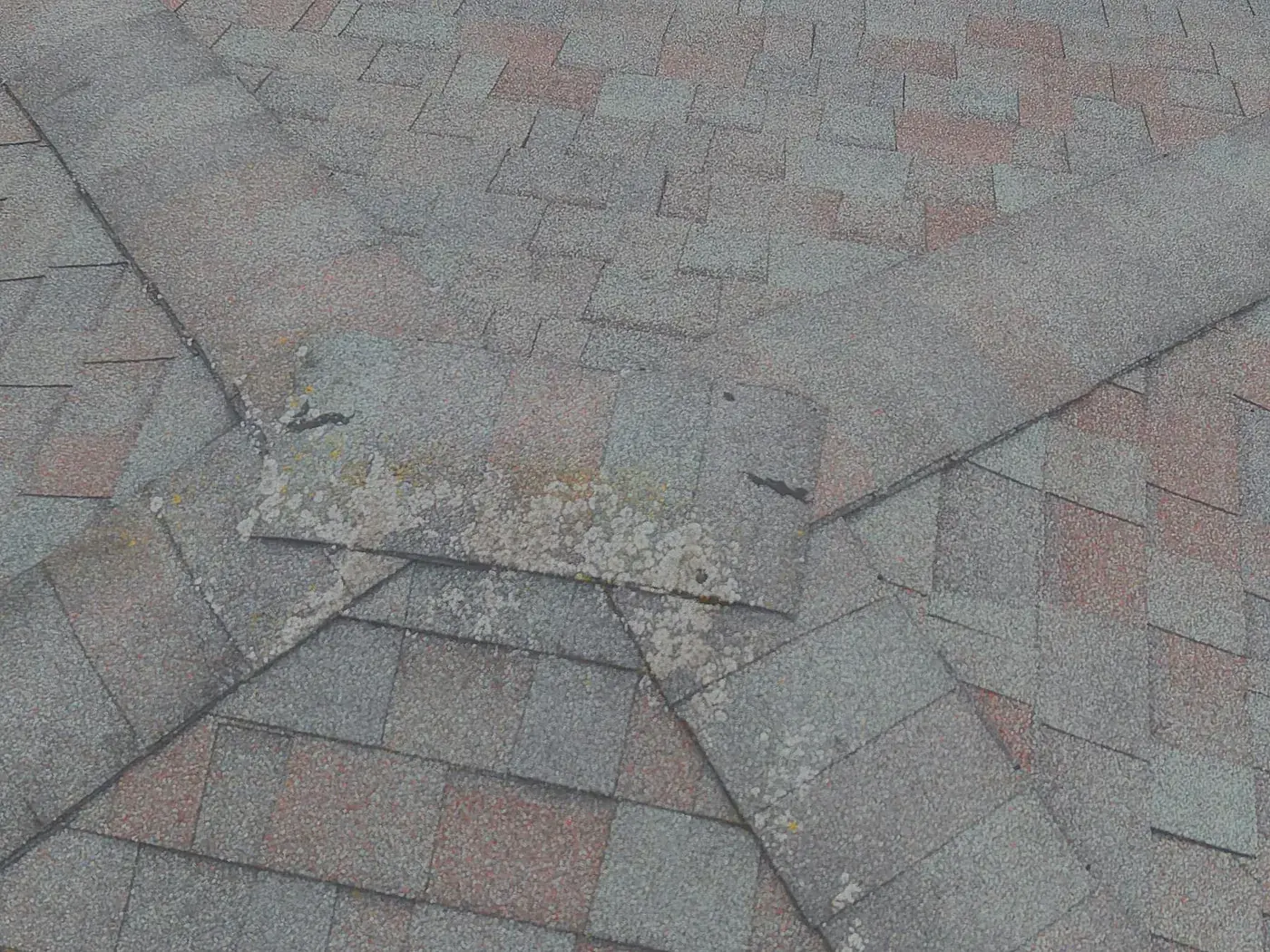 Drone photograph showing moss and debris collected in a roof valley